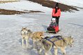 Dog sledding (14)